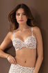 Antigel J63 Belle A Craquer Full Cup